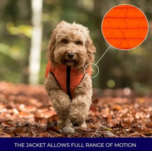 Orange Dog Vest - Picture 2 of 6